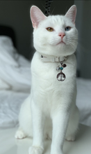 Load image into Gallery viewer, AscendedApparel888&#39;s Pet Collar Danglies
